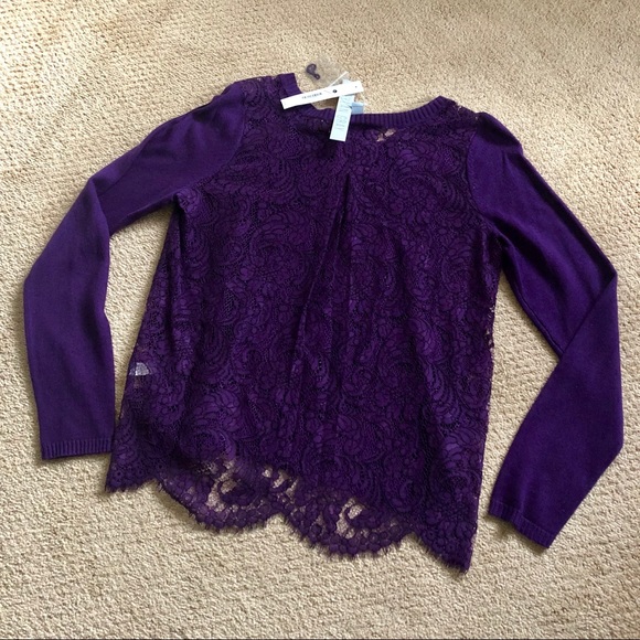 NWT✨ Lace Back Sweater - Picture 6 of 6